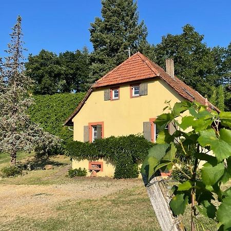 Rebhaus Durbach Villa Kültér fotó